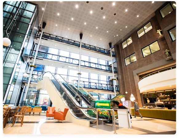 We offer an inclusive and diverse workplace